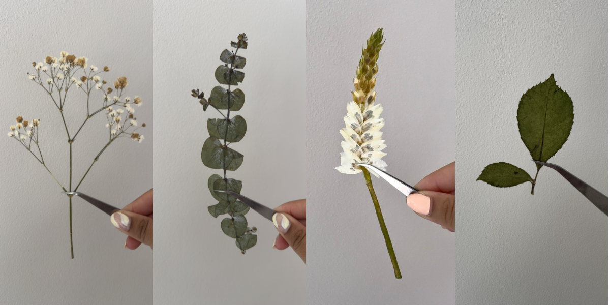 4 Extra Flowers to Bring Alongside Your Bouquet (If It's Missing Them)