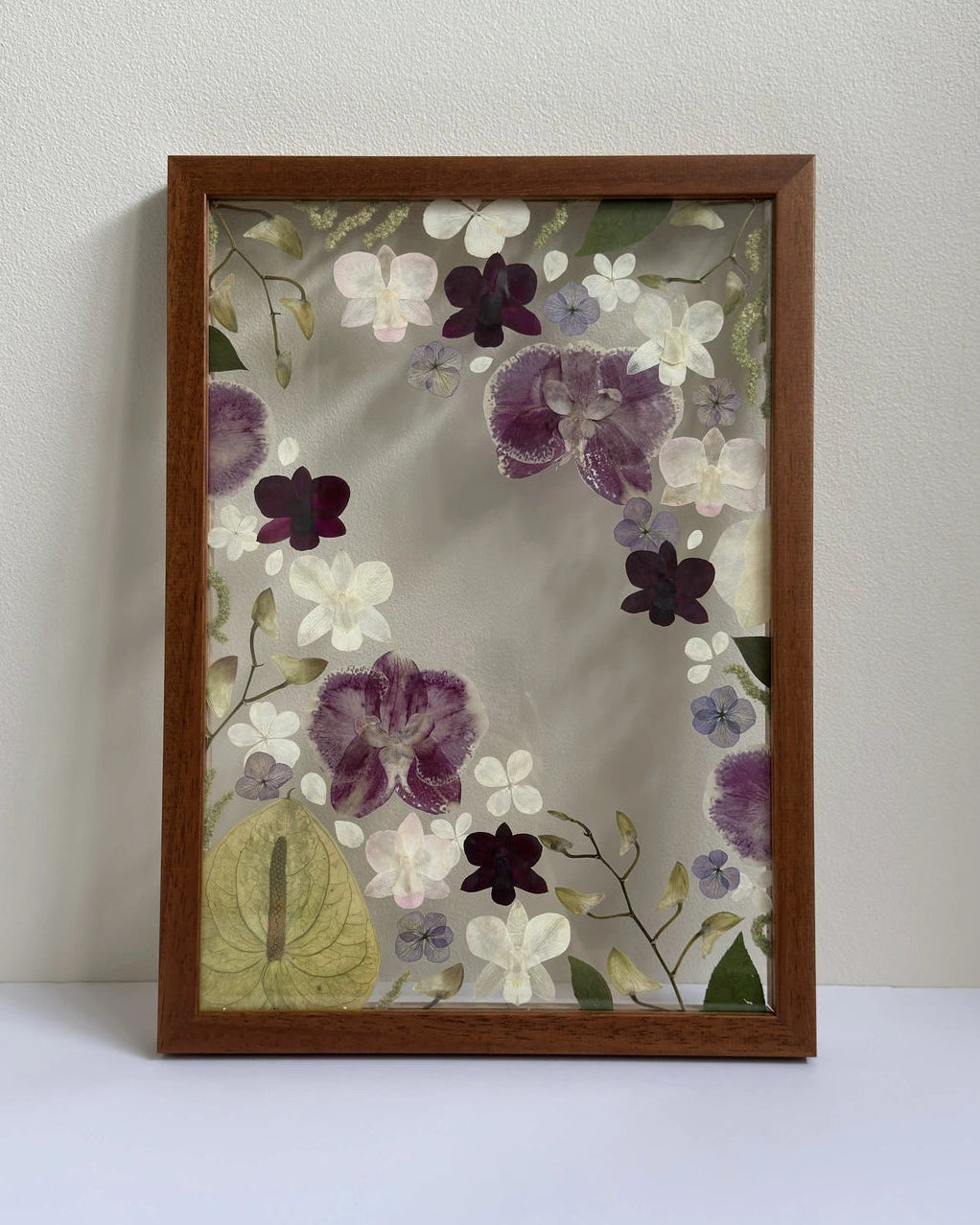 pressed orchids in a3 sized frame