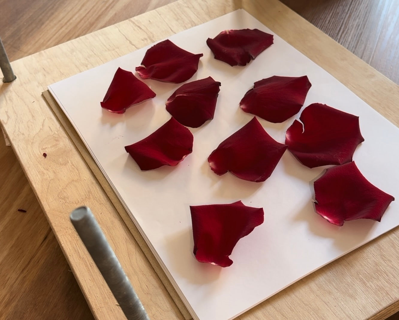 Red rose petals on a flower press on a wooden surface